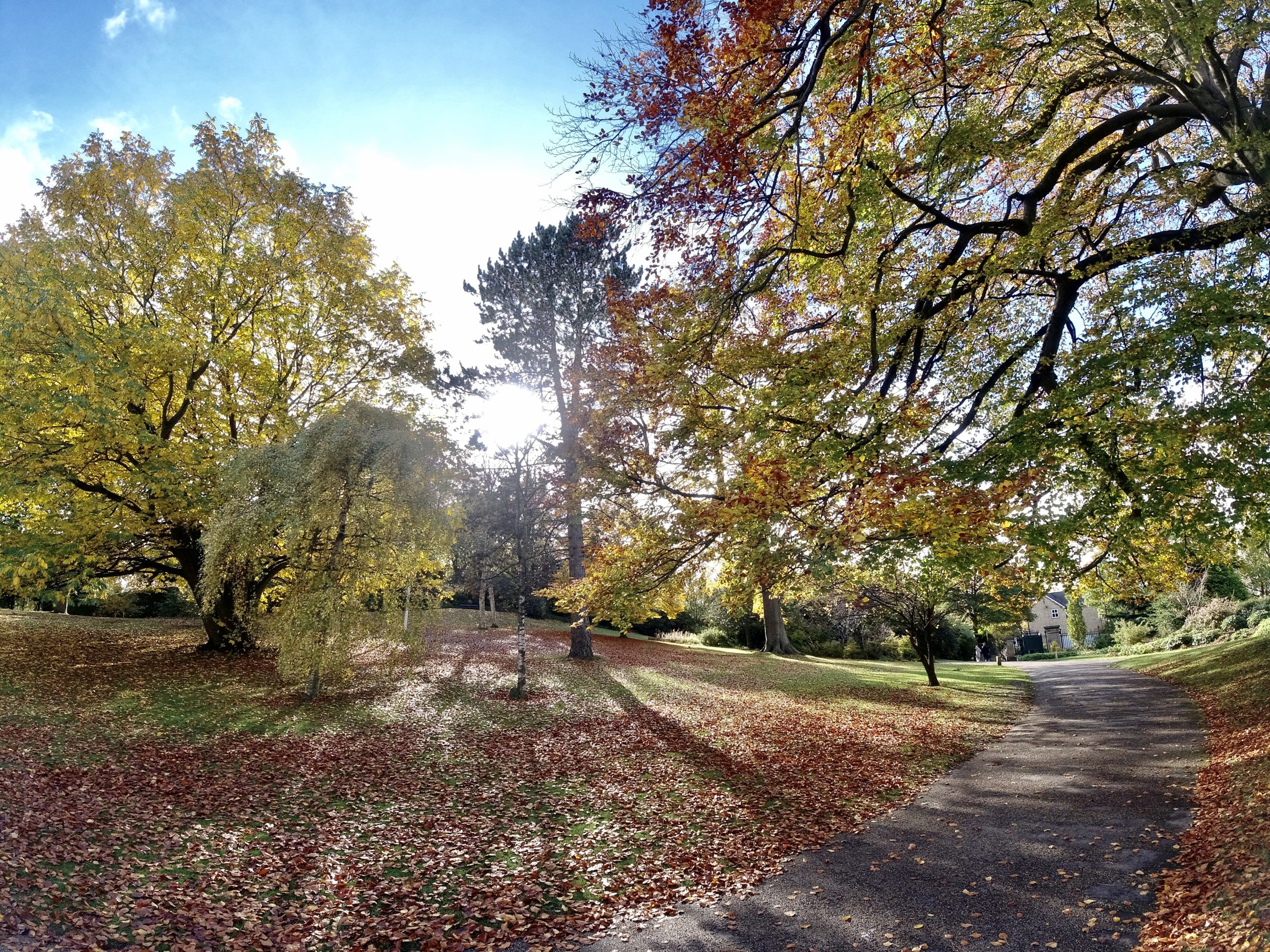 Fwd: Sheffield Botanical Gardens Keith Bown			
					</div><!-- .entry-content -->
		
		<footer>
		
		
		
					
					</footer><!-- .entry-meta -->
	</article><!-- #post -->
				
											
				
		
<hr class=