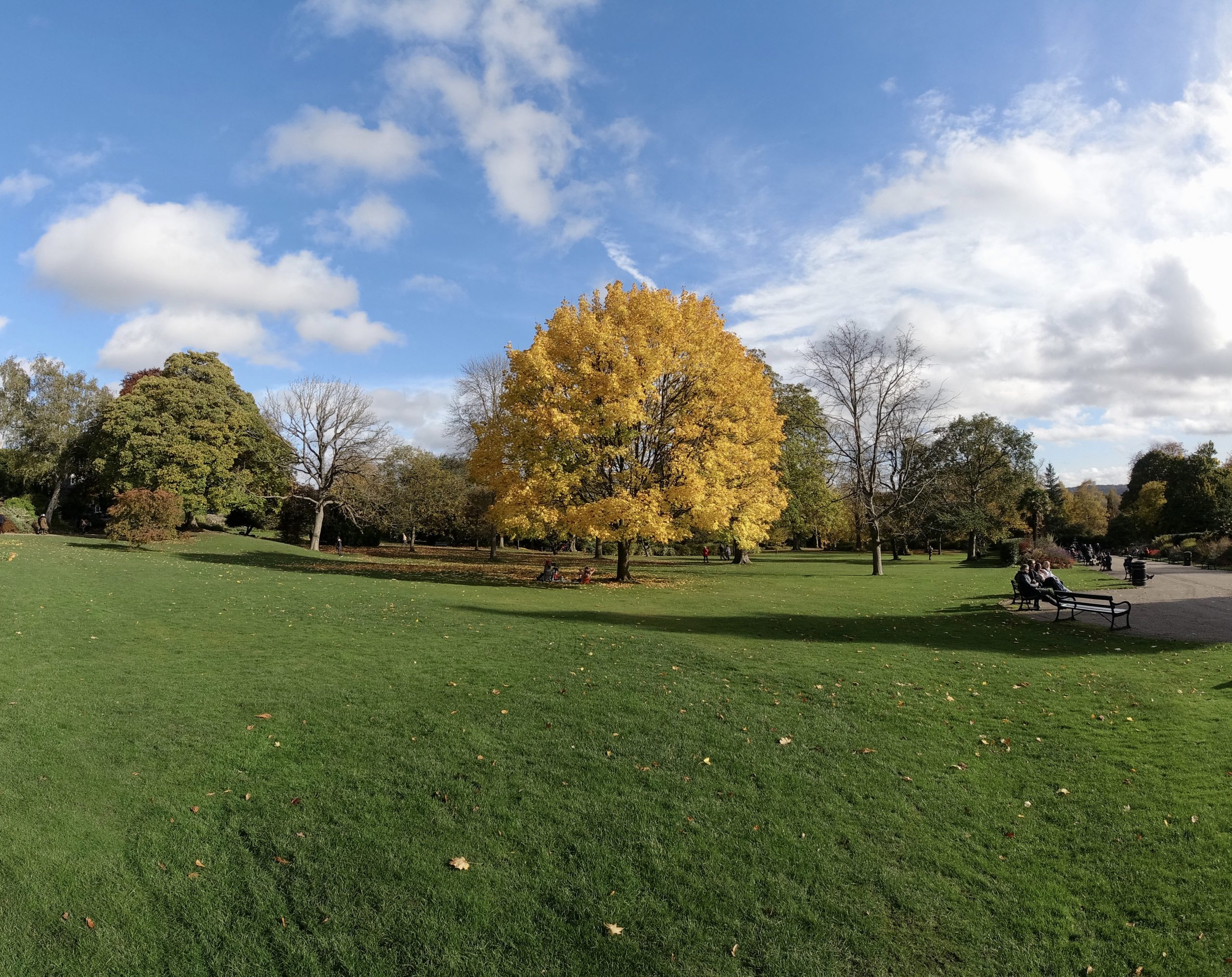 Fwd: Sheffield Botanical Gardens. Keith Bown			
					</div><!-- .entry-content -->
		
		<footer>
		
		
		
					
					</footer><!-- .entry-meta -->
	</article><!-- #post -->
				
											
				
		
<hr class=