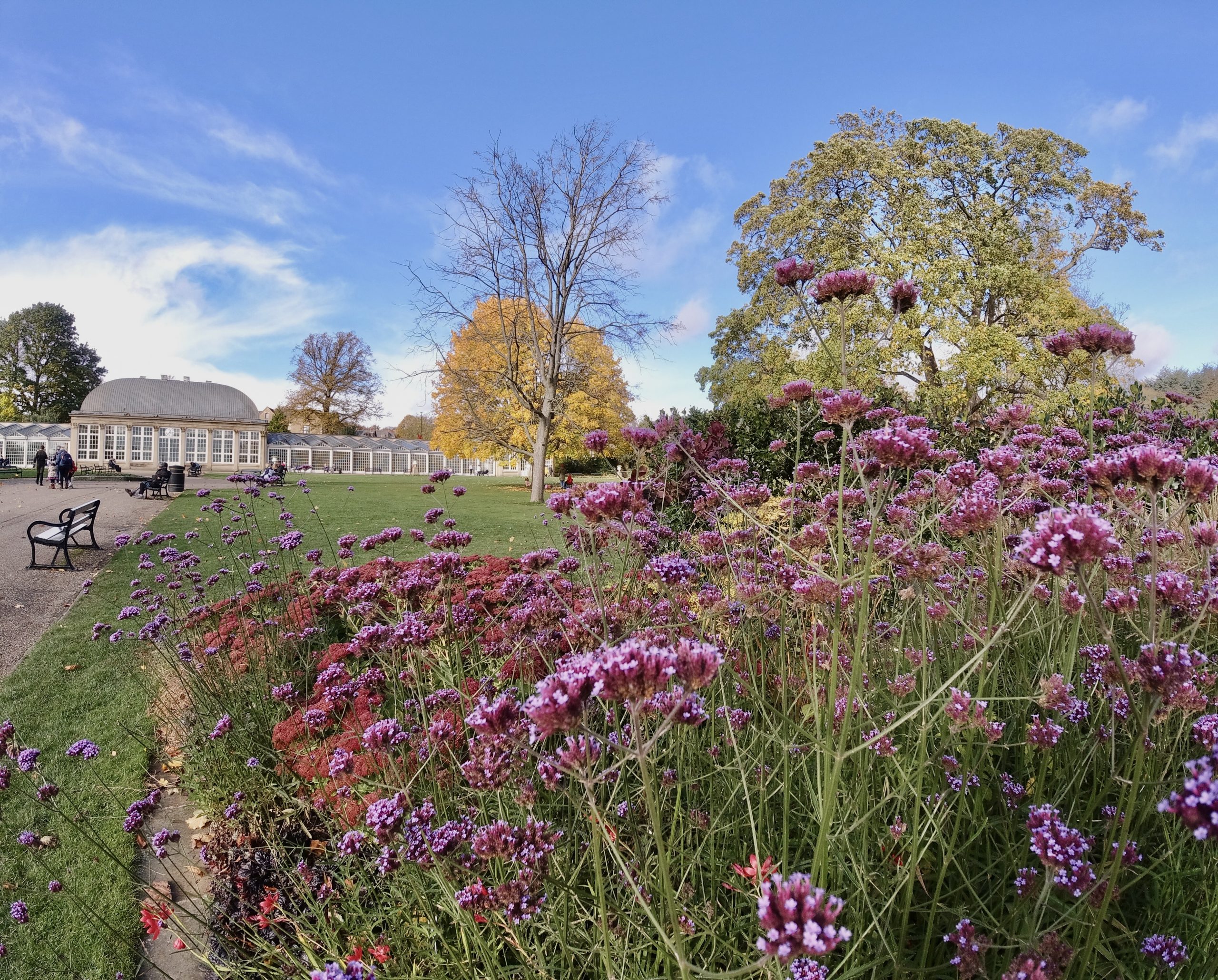 Fwd: Sheffield Botanical Gardens Keith Bown			
					</div><!-- .entry-content -->
		
		<footer>
		
		
		
					
					</footer><!-- .entry-meta -->
	</article><!-- #post -->
				
											
				
		
<hr class=