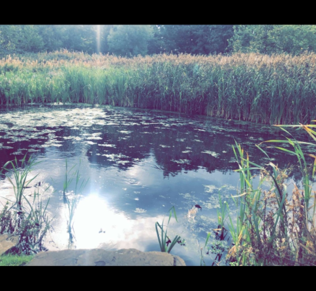 Fwd: Picture in sheffield			
					</div><!-- .entry-content -->
		
		<footer>
		
		
		
					
					</footer><!-- .entry-meta -->
	</article><!-- #post -->
				
											
				
		
<hr class=