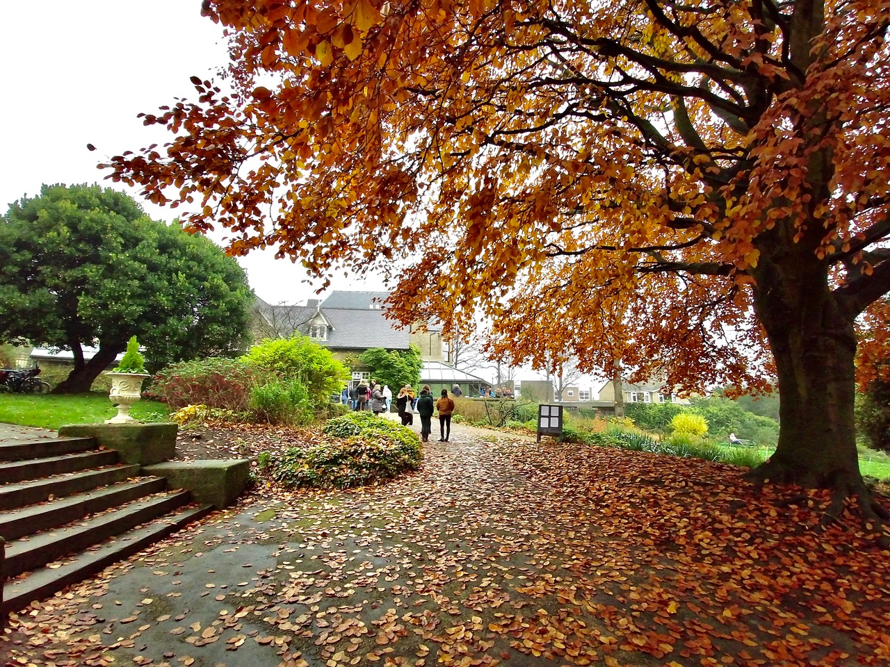 Fwd: Autumn Sheffield Botanical Gardens. Keith Bown			
					</div><!-- .entry-content -->
		
		<footer>
		
		
		
					
					</footer><!-- .entry-meta -->
	</article><!-- #post -->
				
											
				
		
<hr class=