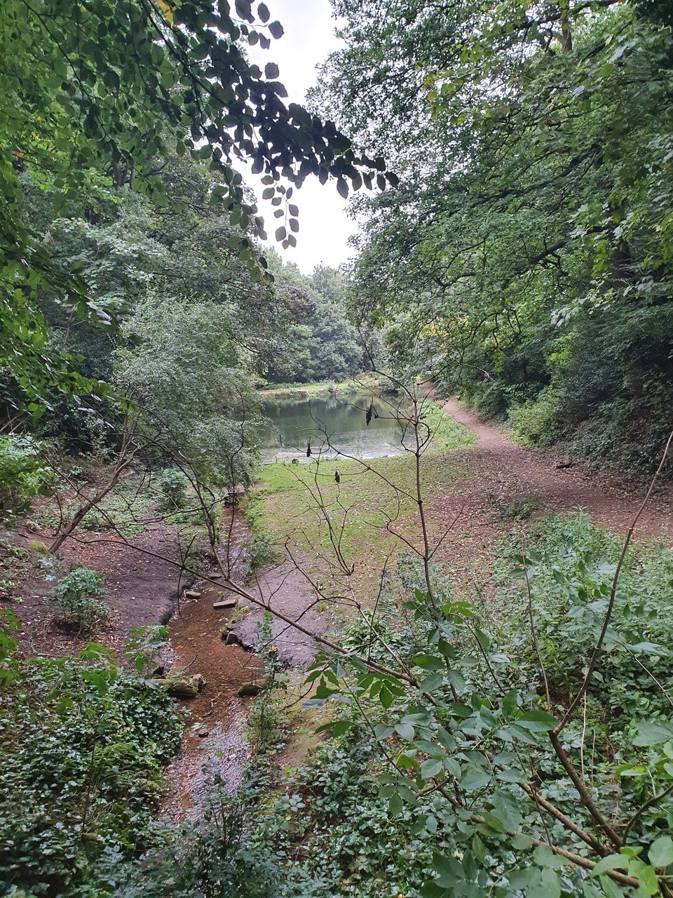 Fwd: Birley spa			
					</div><!-- .entry-content -->
		
		<footer>
		
		
		
					
					</footer><!-- .entry-meta -->
	</article><!-- #post -->
				
											
				
		
<hr class=