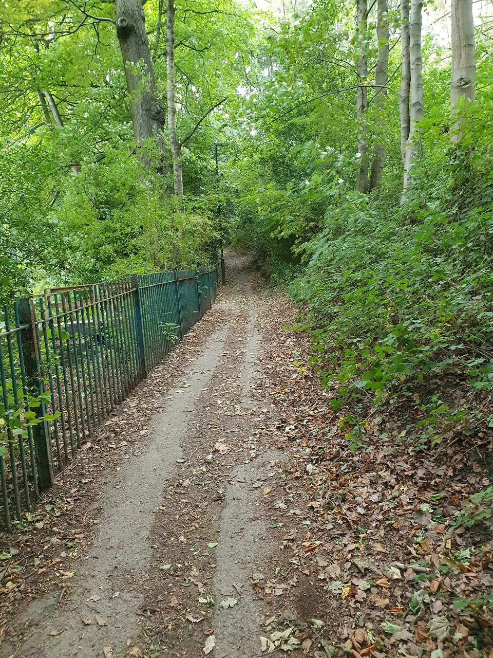 Fwd: Birley spa bath			
					</div><!-- .entry-content -->
		
		<footer>
		
		
		
					
					</footer><!-- .entry-meta -->
	</article><!-- #post -->
				
											
				
		
<hr class=