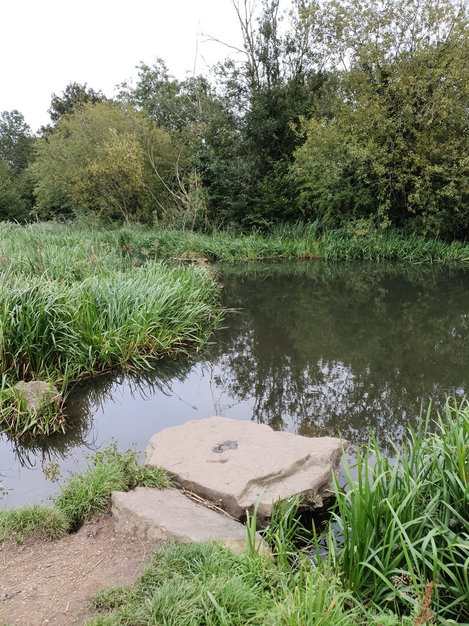 Fwd:			
					</div><!-- .entry-content -->
		
		<footer>
		
		
		
					
					</footer><!-- .entry-meta -->
	</article><!-- #post -->
				
											
				
		
<hr class=