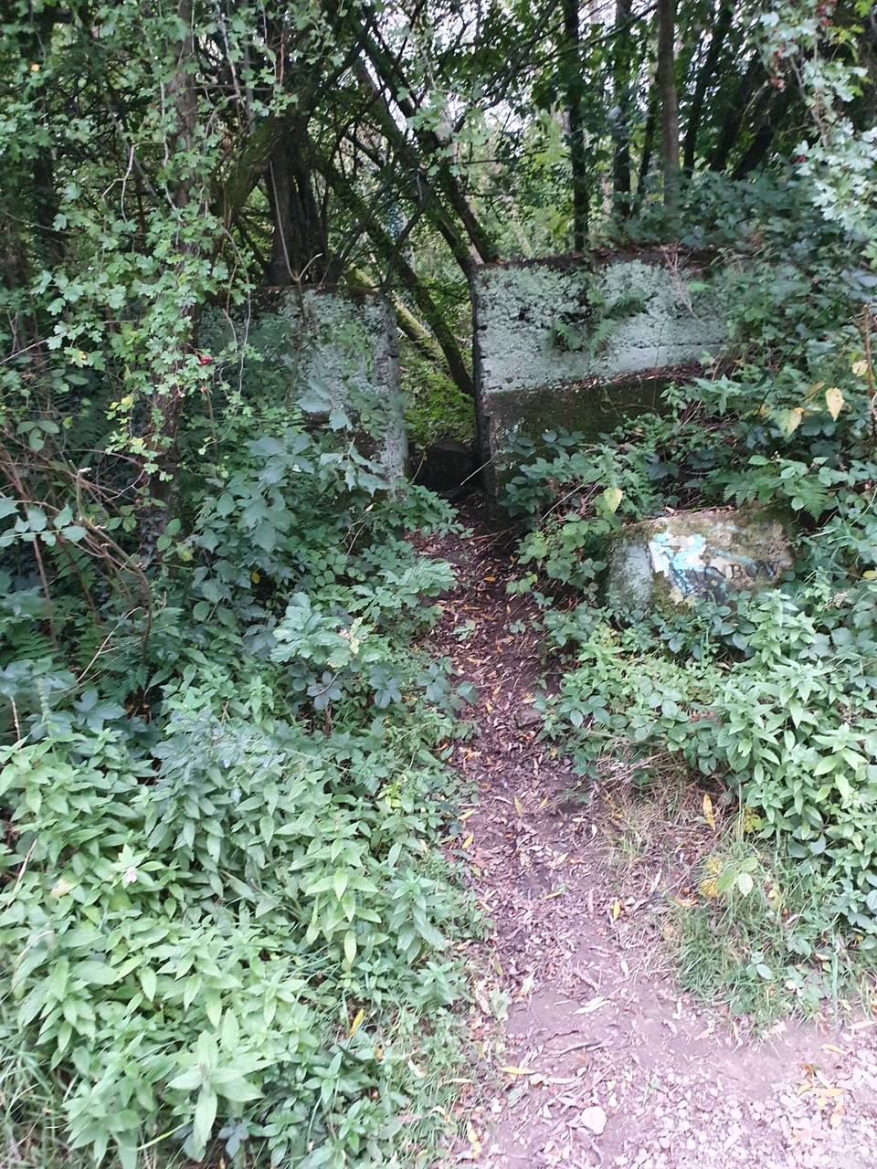 Fwd:			
					</div><!-- .entry-content -->
		
		<footer>
		
		
		
					
					</footer><!-- .entry-meta -->
	</article><!-- #post -->
				
											
				
		
<hr class=