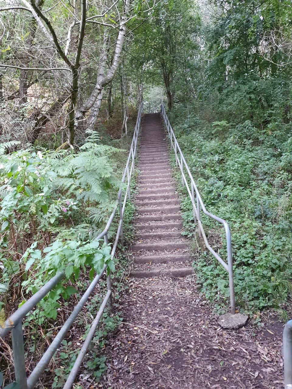 Fwd: stone Lane			
					</div><!-- .entry-content -->
		
		<footer>
		
		
		
					
					</footer><!-- .entry-meta -->
	</article><!-- #post -->
				
											
				
		
<hr class=