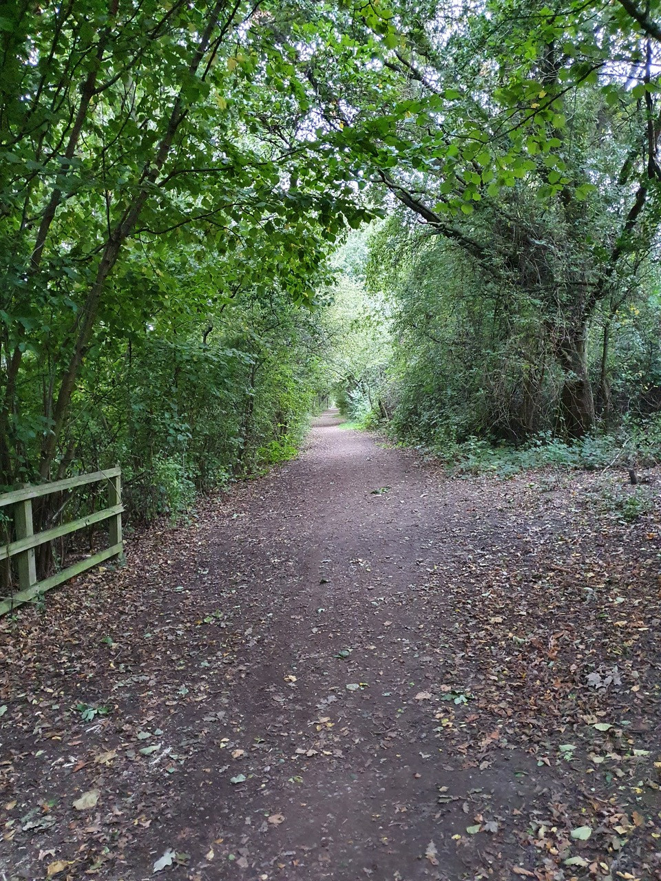 Fwd: Side of stone Lane			
					</div><!-- .entry-content -->
		
		<footer>
		
		
		
					
					</footer><!-- .entry-meta -->
	</article><!-- #post -->
				
											
				
		
<hr class=