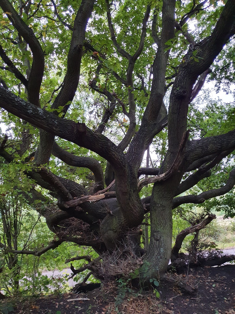 Fwd: Stone lane			
					</div><!-- .entry-content -->
		
		<footer>
		
		
		
					
					</footer><!-- .entry-meta -->
	</article><!-- #post -->
				
											
				
		
<hr class=