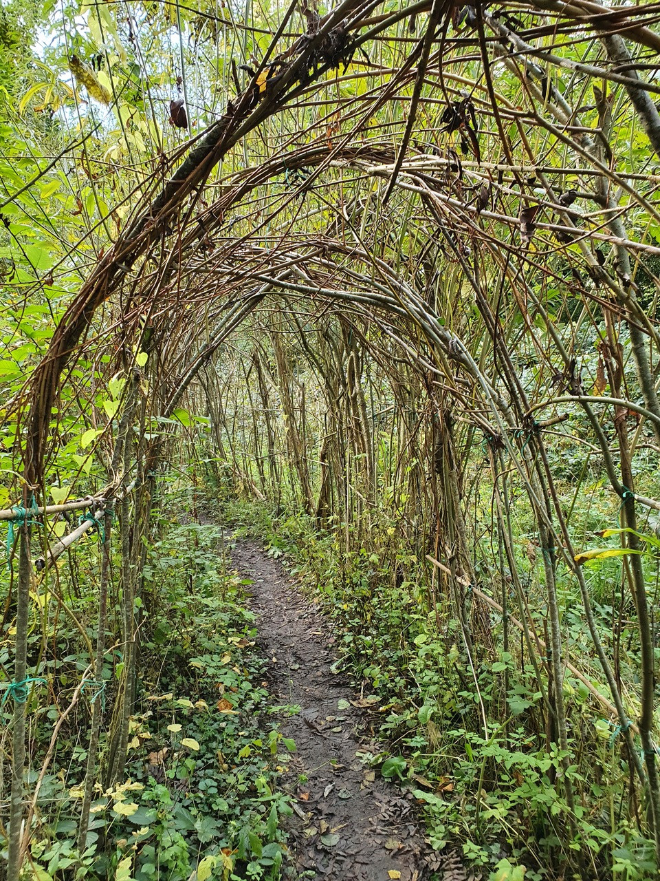 Fwd:			
					</div><!-- .entry-content -->
		
		<footer>
		
		
		
					
					</footer><!-- .entry-meta -->
	</article><!-- #post -->
				
											
				
		
<hr class=