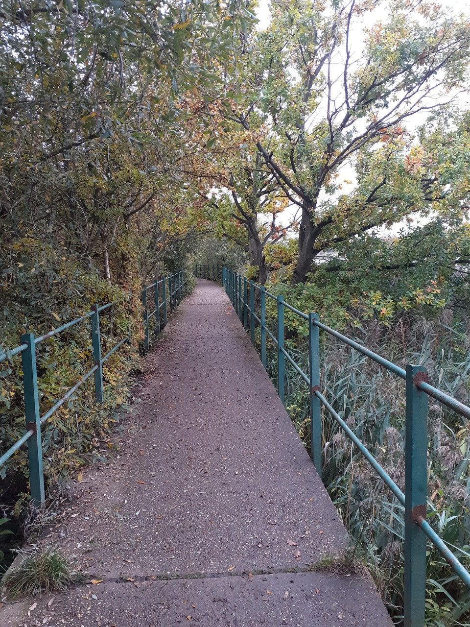 Fwd: Treeton dyke by Terry Lee			
					</div><!-- .entry-content -->
		
		<footer>
		
		
		
					
					</footer><!-- .entry-meta -->
	</article><!-- #post -->
				
											
				
		
<hr class=