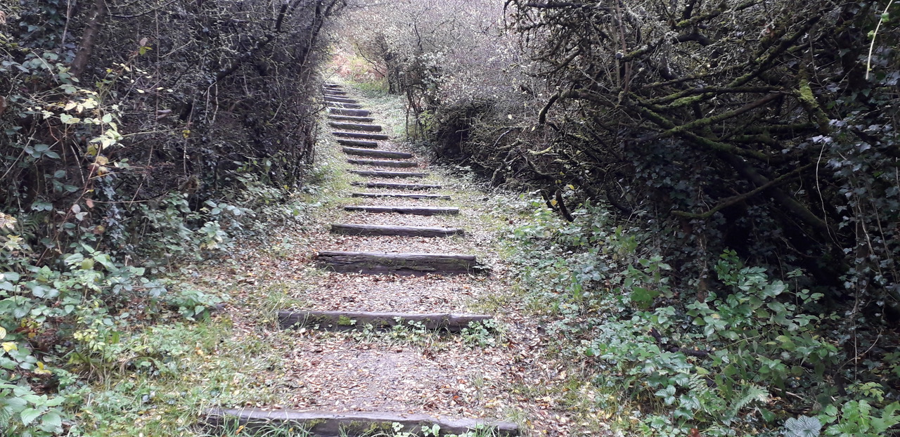 Fwd: Shire Brook nature reserve			
					</div><!-- .entry-content -->
		
		<footer>
		
		
		
					
					</footer><!-- .entry-meta -->
	</article><!-- #post -->
				
											
				
		
<hr class=