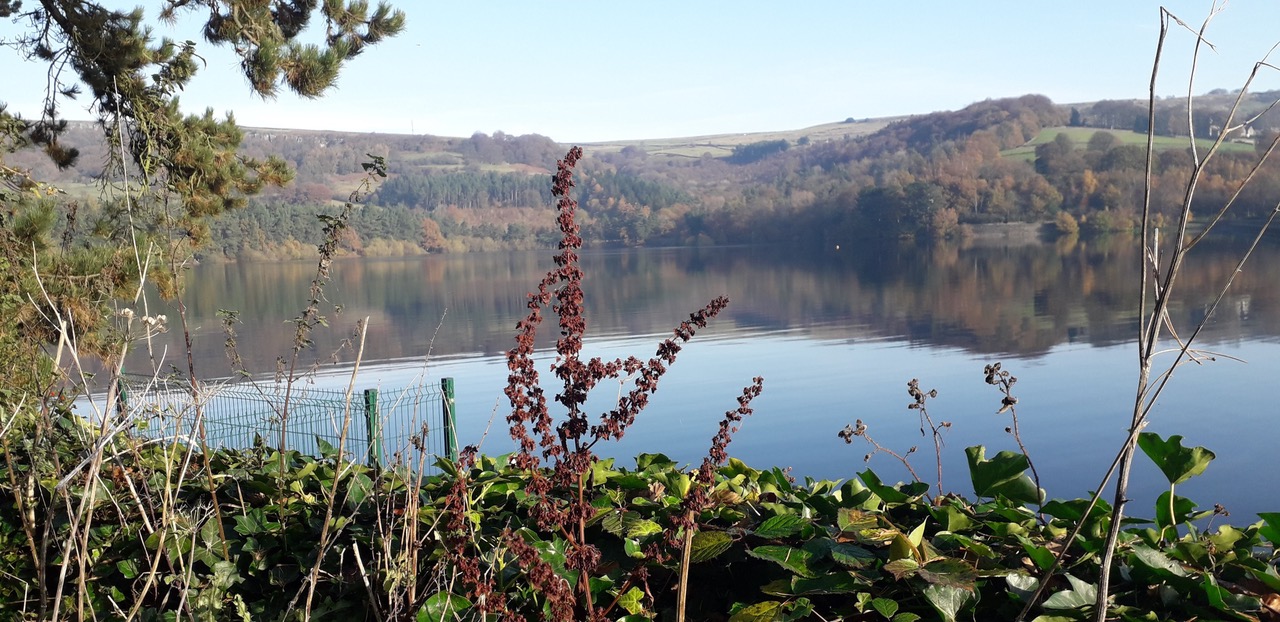 Fwd: Agden			
					</div><!-- .entry-content -->
		
		<footer>
		
		
		
					
					</footer><!-- .entry-meta -->
	</article><!-- #post -->
				
											
				
		
<hr class=