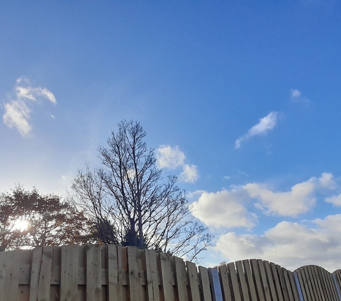 Fwd:			
					</div><!-- .entry-content -->
		
		<footer>
		
		
		
					
					</footer><!-- .entry-meta -->
	</article><!-- #post -->
				
											
				
		
<hr class=