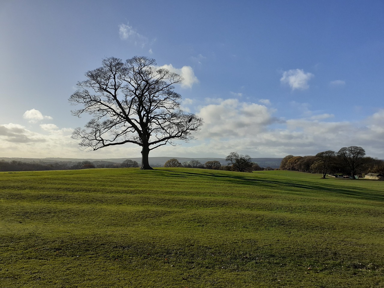 Fwd: Graves Park tree by Gullface London			
					</div><!-- .entry-content -->
		
		<footer>
		
		
		
					
					</footer><!-- .entry-meta -->
	</article><!-- #post -->
				
											
				
		
<hr class=