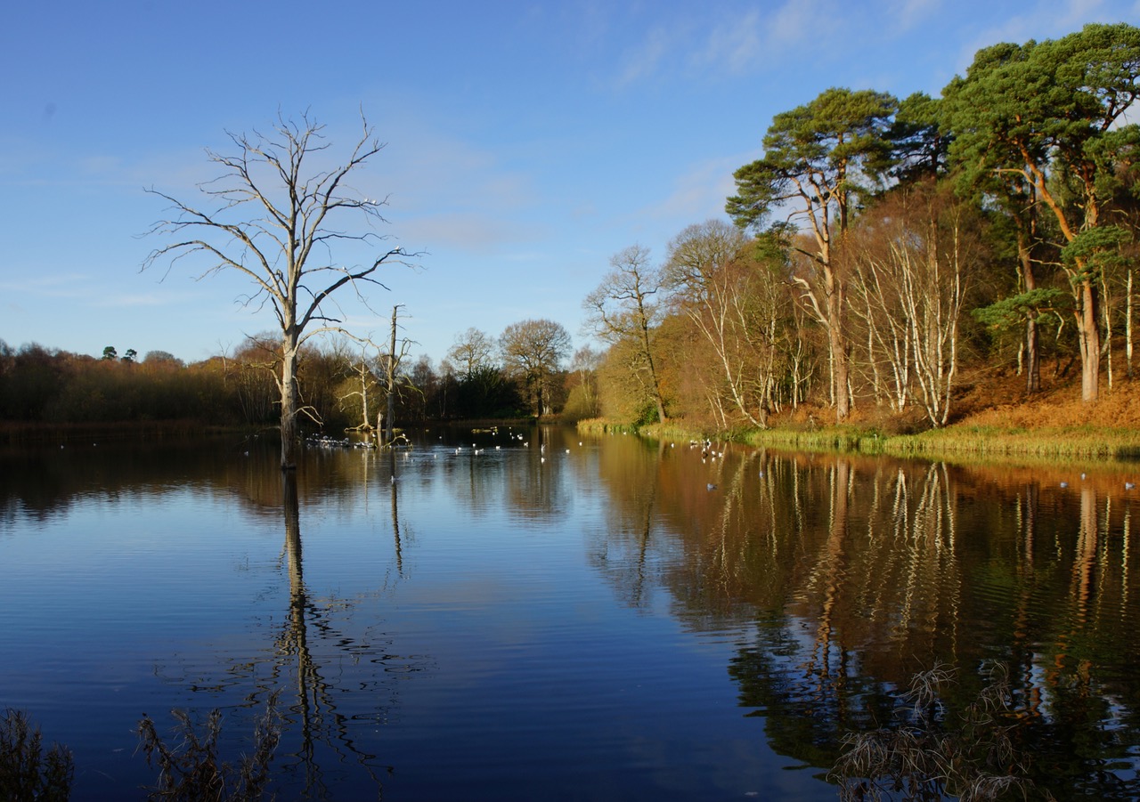 Fwd:			
					</div><!-- .entry-content -->
		
		<footer>
		
		
		
					
					</footer><!-- .entry-meta -->
	</article><!-- #post -->
				
											
				
		
<hr class=