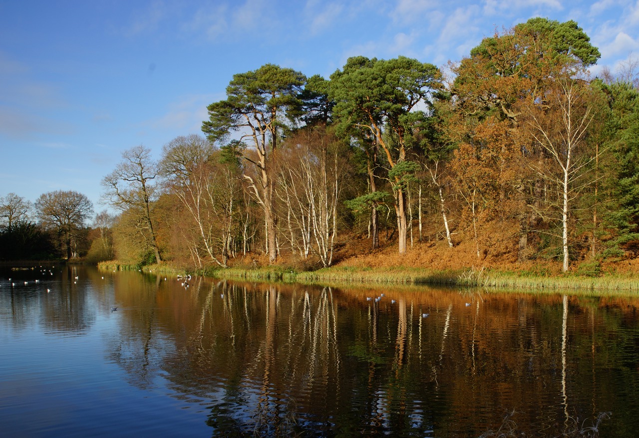 Fwd:			
					</div><!-- .entry-content -->
		
		<footer>
		
		
		
					
					</footer><!-- .entry-meta -->
	</article><!-- #post -->
				
											
				
		
<hr class=