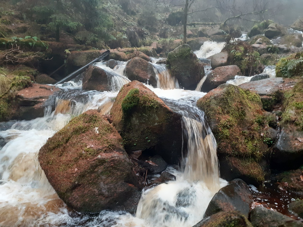 Fwd: Wyming Brook by Gullface London			
					</div><!-- .entry-content -->
		
		<footer>
		
		
		
					
					</footer><!-- .entry-meta -->
	</article><!-- #post -->
				
											
				
		
<hr class=