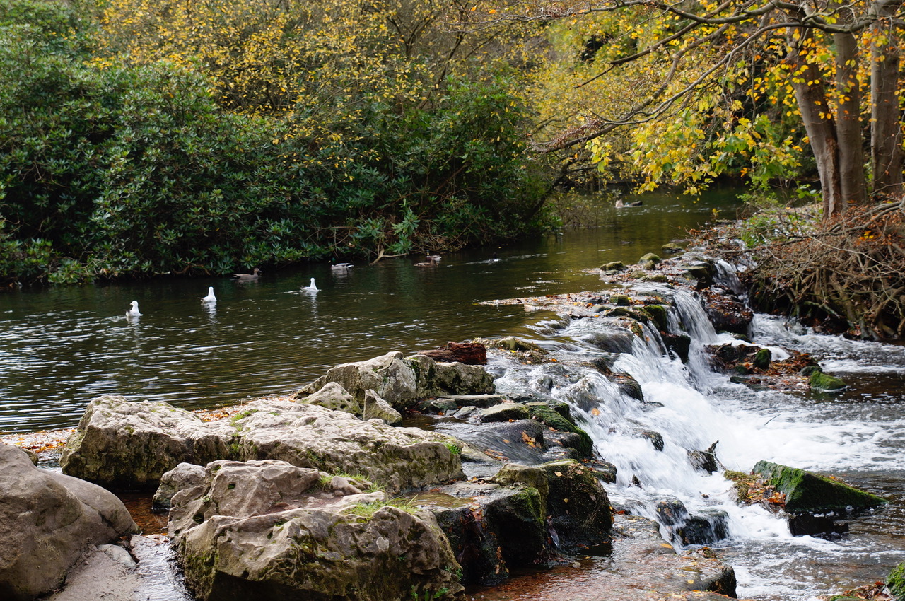 Fwd: Willy D in Clumber			
					</div><!-- .entry-content -->
		
		<footer>
		
		
		
					
					</footer><!-- .entry-meta -->
	</article><!-- #post -->
				
											
				
		
<hr class=