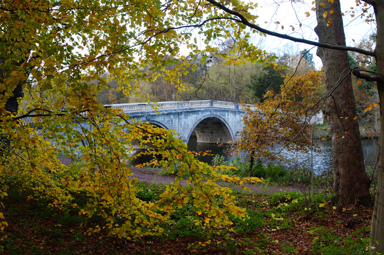 Fwd: Photo			
					</div><!-- .entry-content -->
		
		<footer>
		
		
		
					
					</footer><!-- .entry-meta -->
	</article><!-- #post -->
				
											
				
		
<hr class=