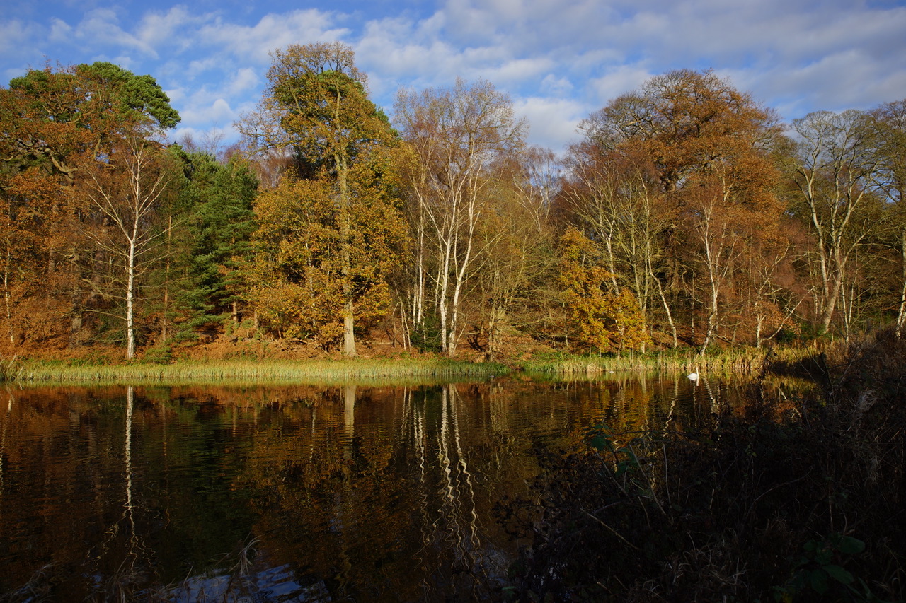 Fwd:			
					</div><!-- .entry-content -->
		
		<footer>
		
		
		
					
					</footer><!-- .entry-meta -->
	</article><!-- #post -->
				
											
				
		
<hr class=