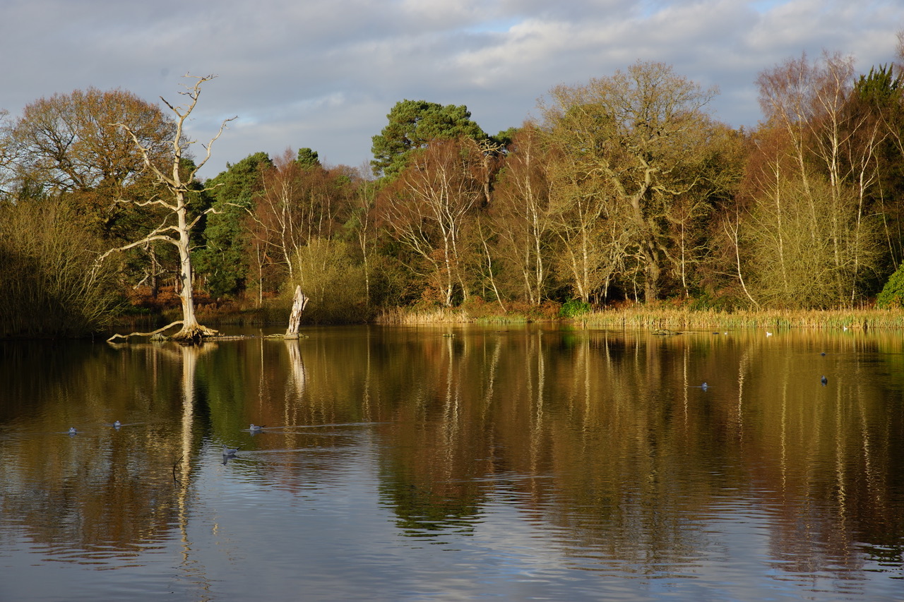 Fwd:			
					</div><!-- .entry-content -->
		
		<footer>
		
		
		
					
					</footer><!-- .entry-meta -->
	</article><!-- #post -->
				
											
				
		
<hr class=