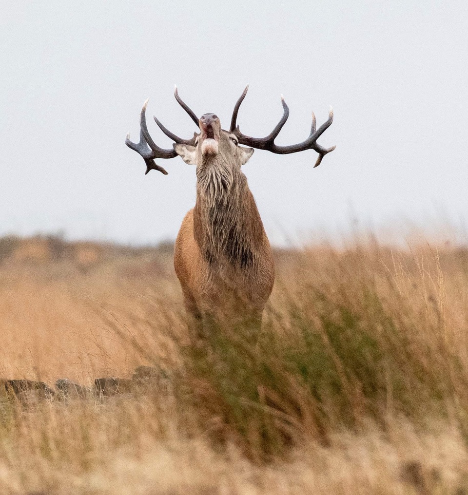 Fwd:			
					</div><!-- .entry-content -->
		
		<footer>
		
		
		
					
					</footer><!-- .entry-meta -->
	</article><!-- #post -->
				
											
				
		
<hr class=