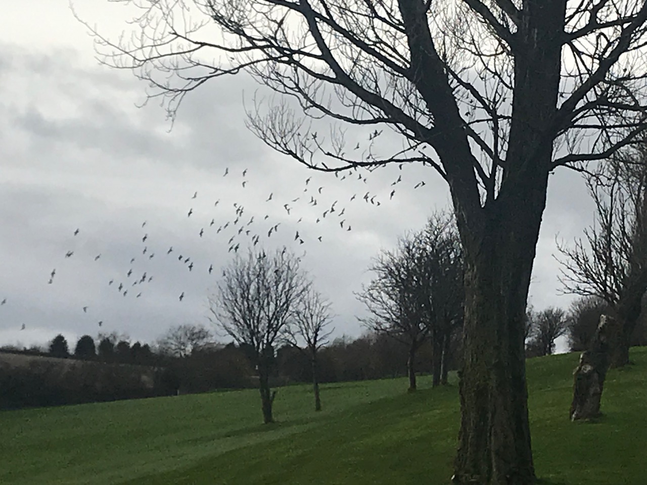 Fwd: Photo by Kate Hague Birley golf course			
					</div><!-- .entry-content -->
		
		<footer>
		
		
		
					
					</footer><!-- .entry-meta -->
	</article><!-- #post -->
				
											
				
		
<hr class=