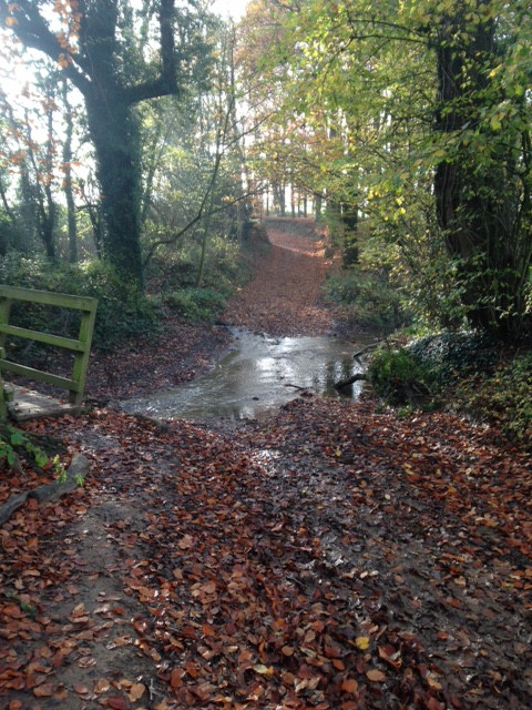 Fwd:			
					</div><!-- .entry-content -->
		
		<footer>
		
		
		
					
					</footer><!-- .entry-meta -->
	</article><!-- #post -->
				
											
				
		
<hr class=