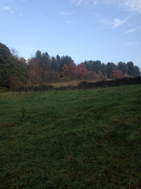 Fwd: Ford			
					</div><!-- .entry-content -->
		
		<footer>
		
		
		
					
					</footer><!-- .entry-meta -->
	</article><!-- #post -->
				
											
				
		
<hr class=