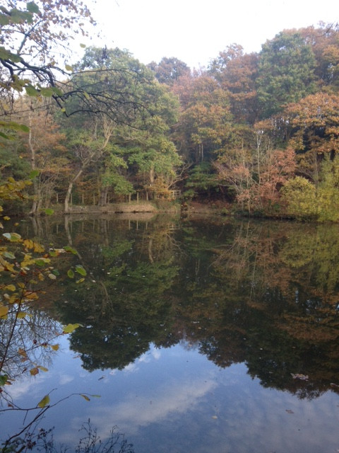 Fwd: Ford pond			
					</div><!-- .entry-content -->
		
		<footer>
		
		
		
					
					</footer><!-- .entry-meta -->
	</article><!-- #post -->
				
											
				
		
<hr class=