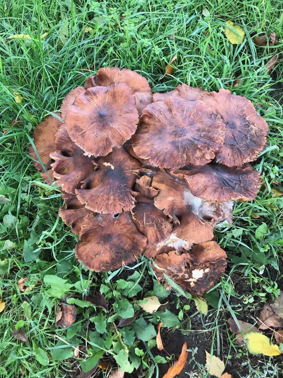 Fwd:			
					</div><!-- .entry-content -->
		
		<footer>
		
		
		
					
					</footer><!-- .entry-meta -->
	</article><!-- #post -->
				
											
				
		
<hr class=