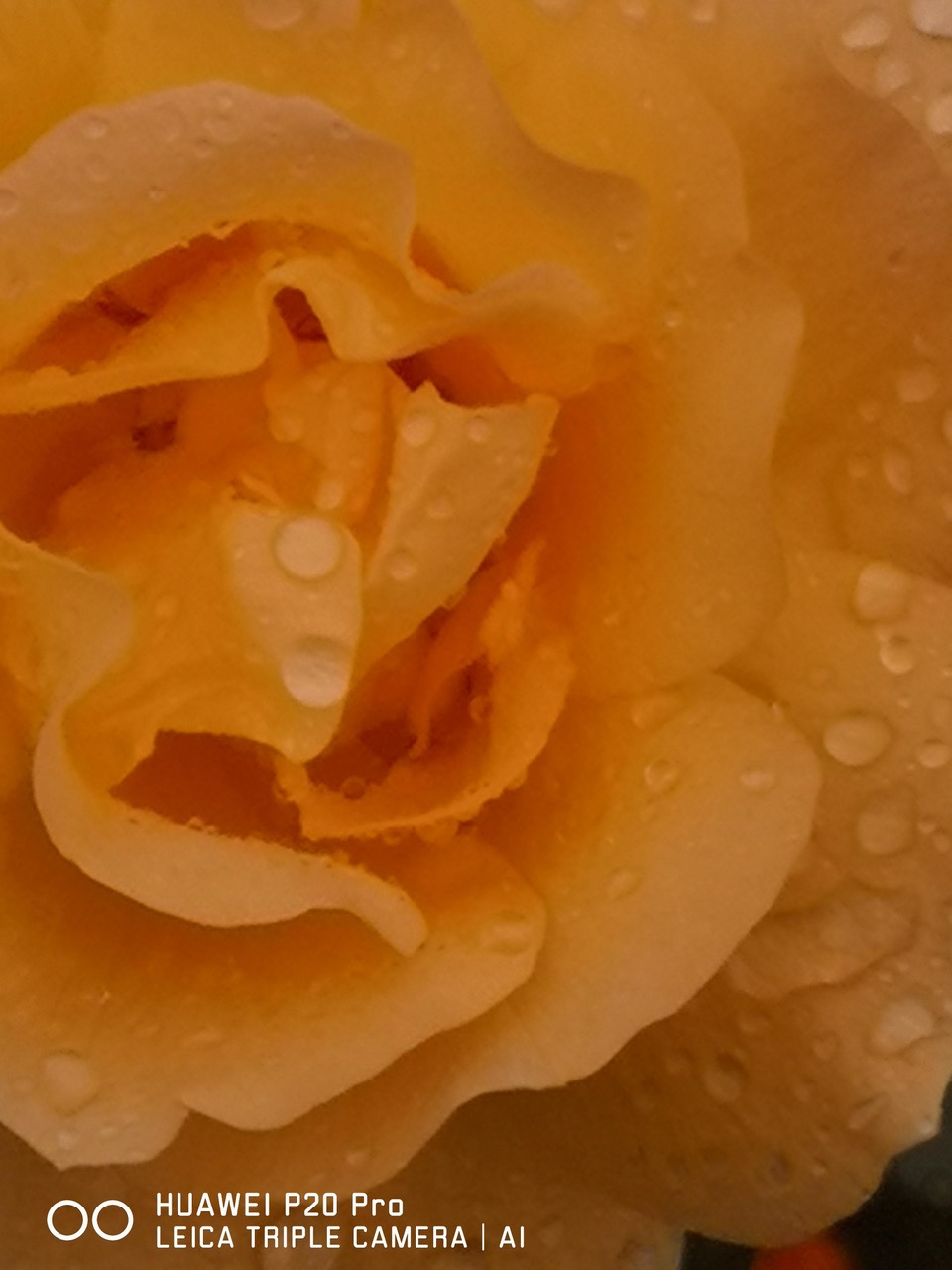 Fwd:			
					</div><!-- .entry-content -->
		
		<footer>
		
		
		
					
					</footer><!-- .entry-meta -->
	</article><!-- #post -->
				
											
				
		
<hr class=