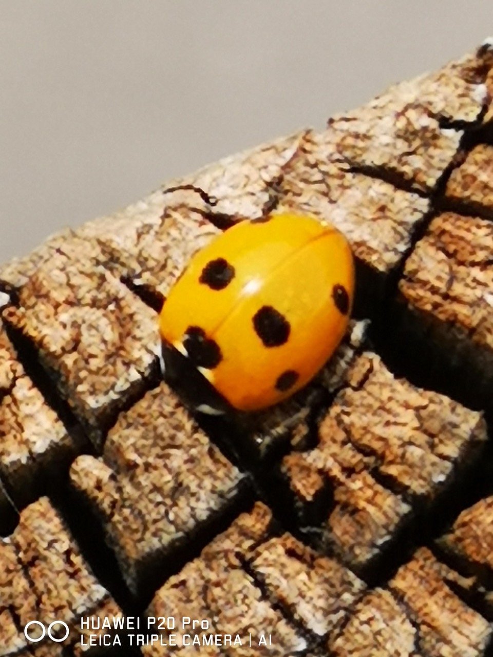 Fwd:			
					</div><!-- .entry-content -->
		
		<footer>
		
		
		
					
					</footer><!-- .entry-meta -->
	</article><!-- #post -->
				
											
				
		
<hr class=