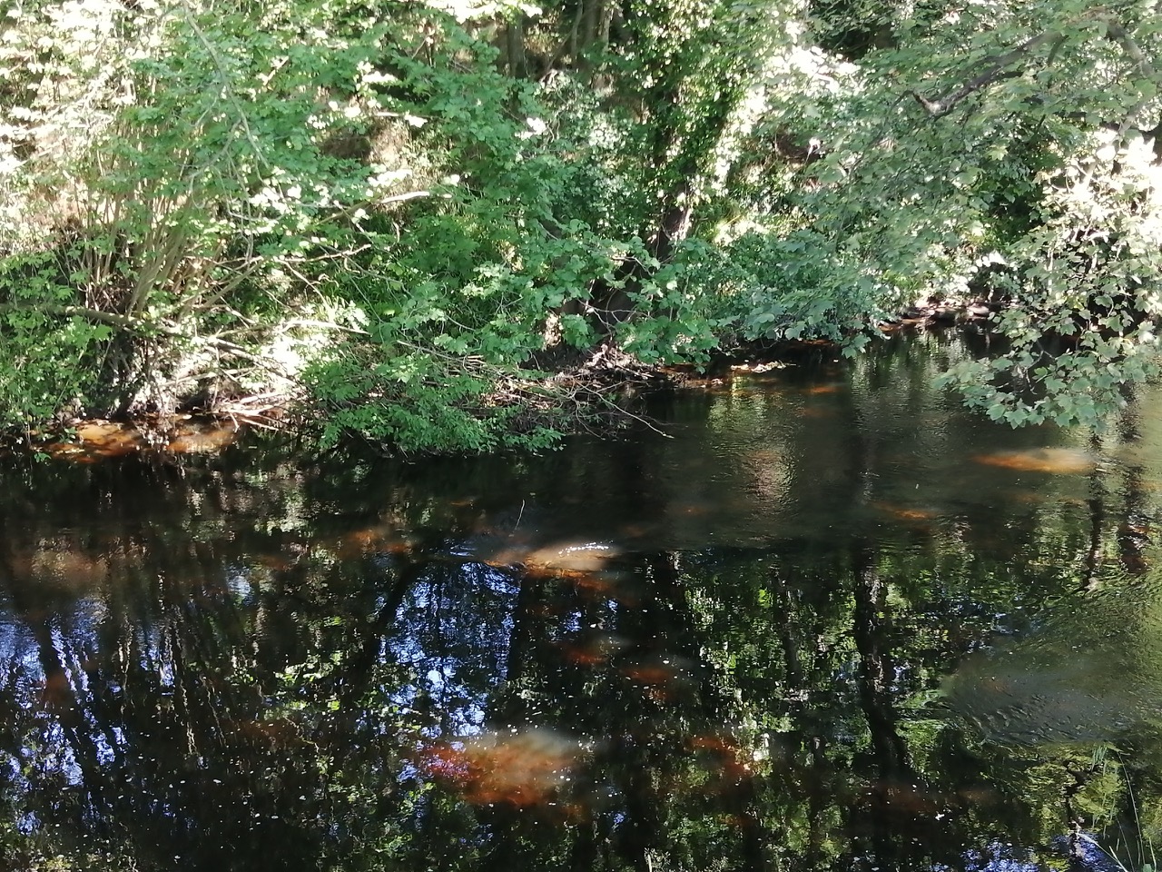 Fwd:			
					</div><!-- .entry-content -->
		
		<footer>
		
		
		
					
					</footer><!-- .entry-meta -->
	</article><!-- #post -->
				
											
				
		
<hr class=