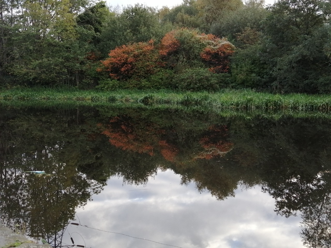 Fwd: Sheffield canal			
					</div><!-- .entry-content -->
		
		<footer>
		
		
		
					
					</footer><!-- .entry-meta -->
	</article><!-- #post -->
				
											
				
		
<hr class=