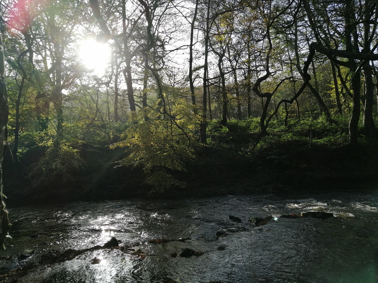 Fwd: Beeley Wood Walk Stuart Spooner			
					</div><!-- .entry-content -->
		
		<footer>
		
		
		
					
					</footer><!-- .entry-meta -->
	</article><!-- #post -->
				
											
				
		
<hr class=