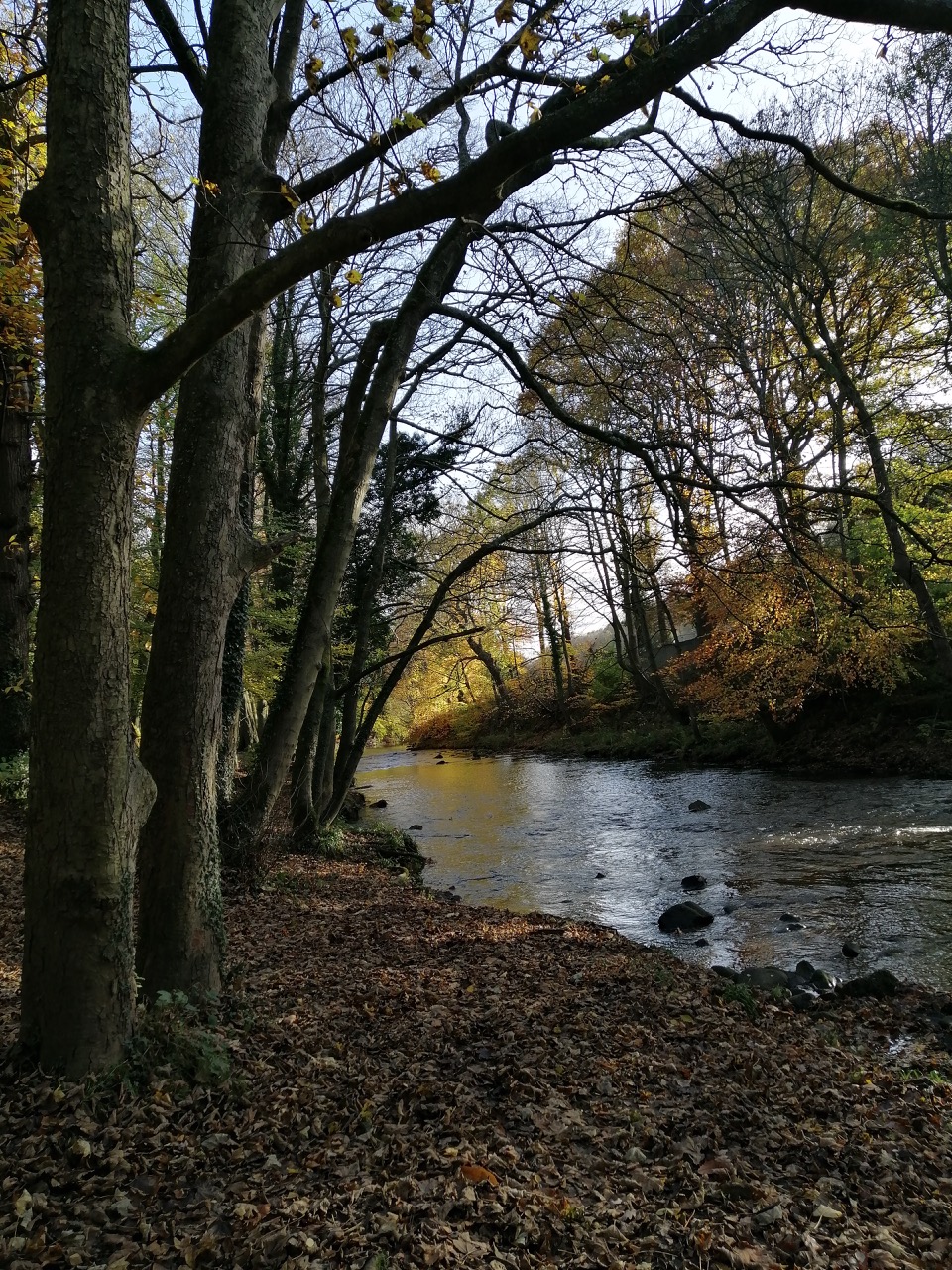 Fwd: Beely Wood Walk by Stuart Spooner			
					</div><!-- .entry-content -->
		
		<footer>
		
		
		
					
					</footer><!-- .entry-meta -->
	</article><!-- #post -->
				
											
				
		
<hr class=