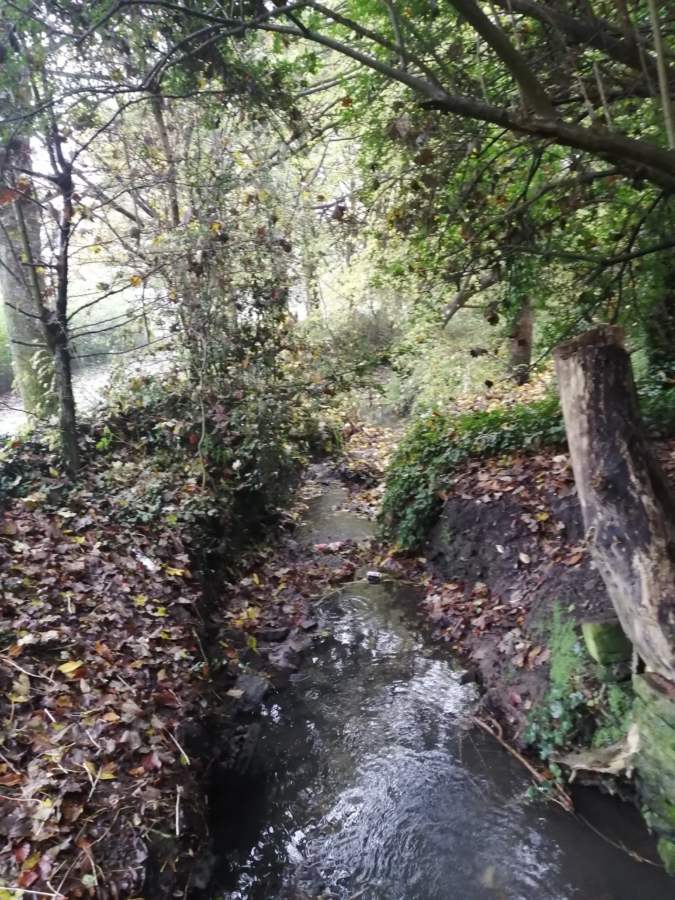 Fwd: Ecclesfield Park by Stuart Spooner			
					</div><!-- .entry-content -->
		
		<footer>
		
		
		
					
					</footer><!-- .entry-meta -->
	</article><!-- #post -->
				
											
				
		
<hr class=