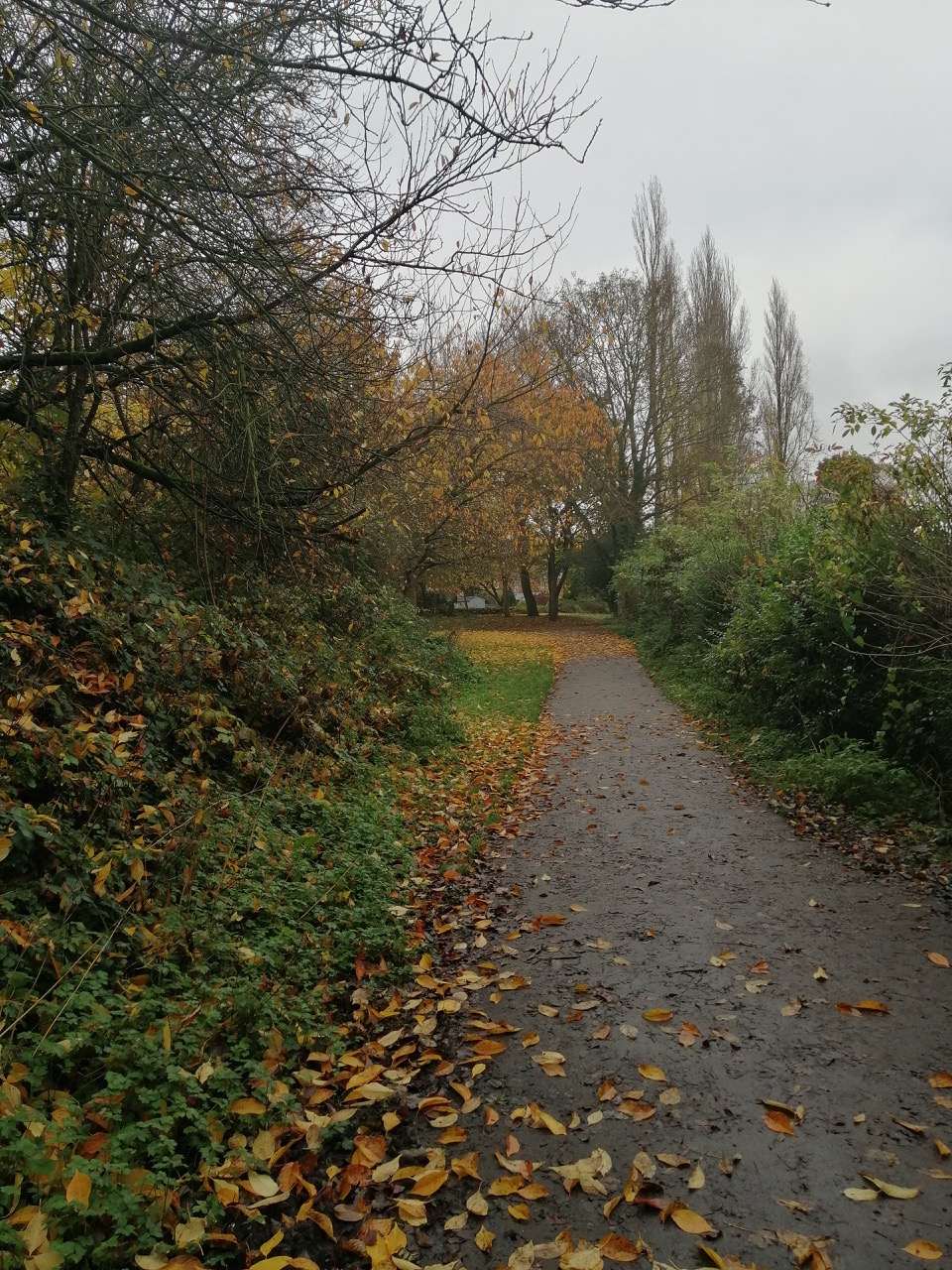 Fwd: Ecclesfield Park by Stuart Spooner			
					</div><!-- .entry-content -->
		
		<footer>
		
		
		
					
					</footer><!-- .entry-meta -->
	</article><!-- #post -->
				
											
				
		
<hr class=