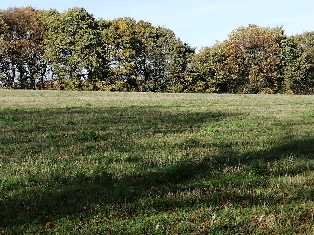 Fwd: Ecclesfield Stuart Spooner			
					</div><!-- .entry-content -->
		
		<footer>
		
		
		
					
					</footer><!-- .entry-meta -->
	</article><!-- #post -->
				
											
				
		
<hr class=