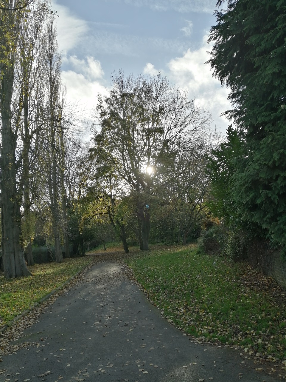 Fwd: Ecclesfield Stuart Spooner			
					</div><!-- .entry-content -->
		
		<footer>
		
		
		
					
					</footer><!-- .entry-meta -->
	</article><!-- #post -->
				
											
				
		
<hr class=