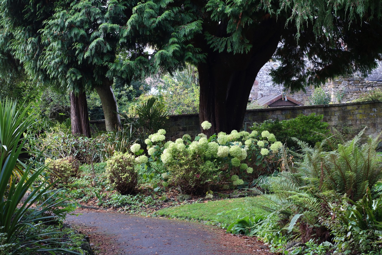 Fwd: Bakewell gardens			
					</div><!-- .entry-content -->
		
		<footer>
		
		
		
					
					</footer><!-- .entry-meta -->
	</article><!-- #post -->
				
											
				
		
<hr class=