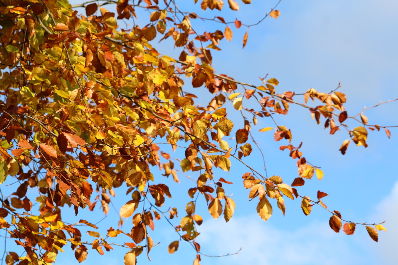 Fwd: Paul Snelling..Rivelin .			
					</div><!-- .entry-content -->
		
		<footer>
		
		
		
					
					</footer><!-- .entry-meta -->
	</article><!-- #post -->
				
											
				
		
<hr class=