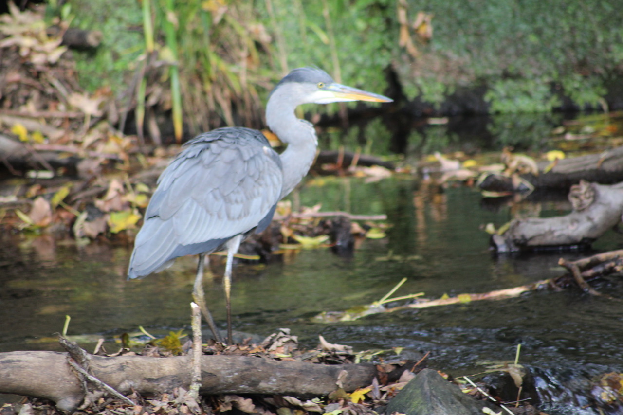 Fwd:			
					</div><!-- .entry-content -->
		
		<footer>
		
		
		
					
					</footer><!-- .entry-meta -->
	</article><!-- #post -->
				
											
				
		
<hr class=