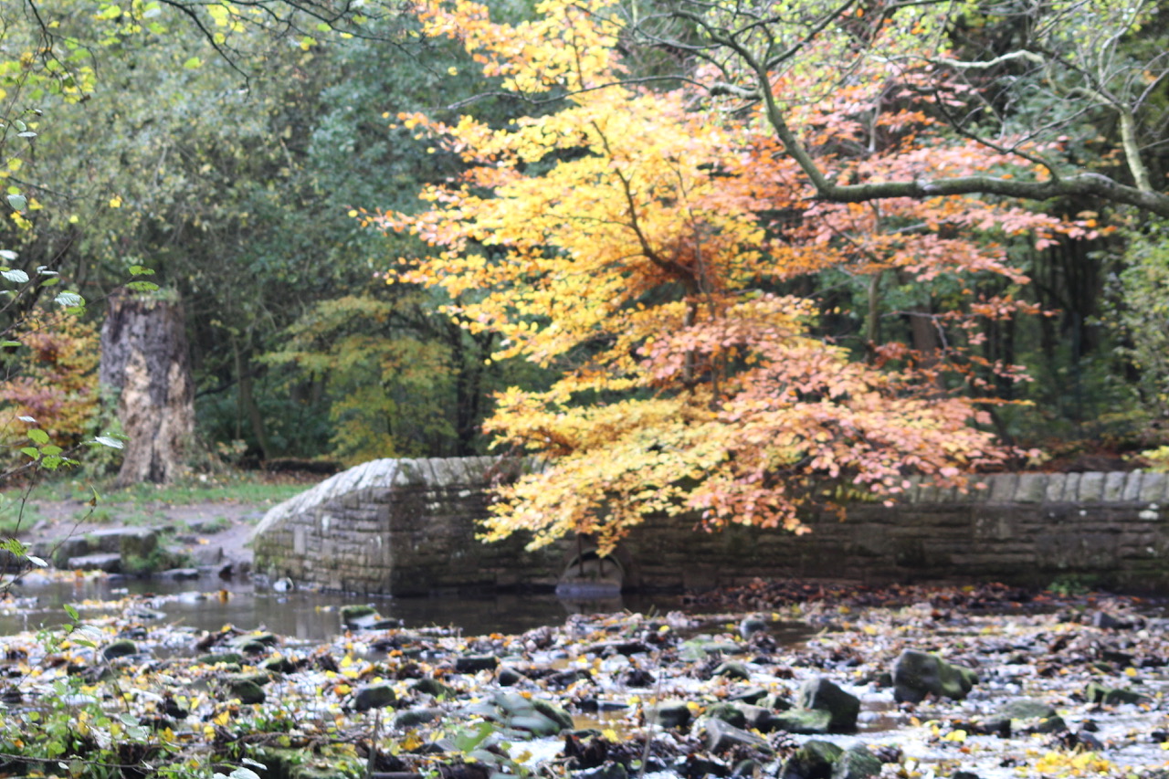 Fwd: Paul Snelling..Rivelin x			
					</div><!-- .entry-content -->
		
		<footer>
		
		
		
					
					</footer><!-- .entry-meta -->
	</article><!-- #post -->
				
											
				
		
<hr class=