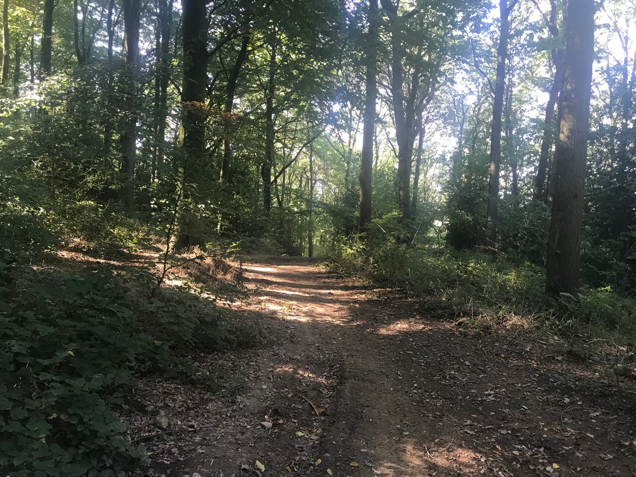 Fwd: Moss Valley			
					</div><!-- .entry-content -->
		
		<footer>
		
		
		
					
					</footer><!-- .entry-meta -->
	</article><!-- #post -->
				
											
				
		
<hr class=