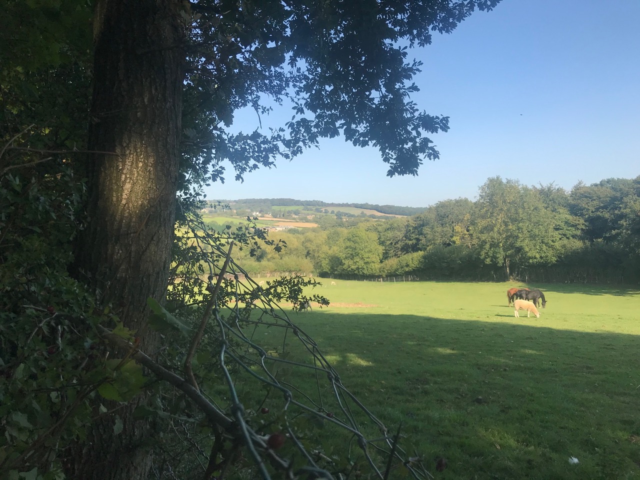 Fwd: Troway			
					</div><!-- .entry-content -->
		
		<footer>
		
		
		
					
					</footer><!-- .entry-meta -->
	</article><!-- #post -->
				
											
				
		
<hr class=