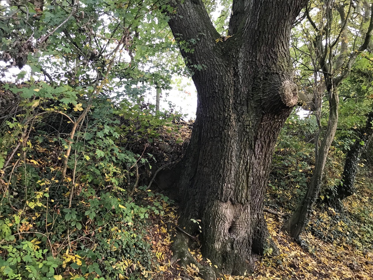 Fwd: Troway			
					</div><!-- .entry-content -->
		
		<footer>
		
		
		
					
					</footer><!-- .entry-meta -->
	</article><!-- #post -->
				
											
				
		
<hr class=