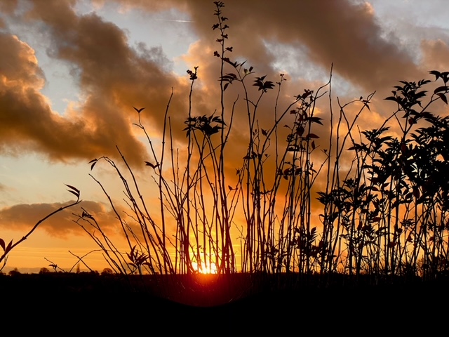 Fwd: Dronfield Sunset			
					</div><!-- .entry-content -->
		
		<footer>
		
		
		
					
					</footer><!-- .entry-meta -->
	</article><!-- #post -->
				
											
				
		
<hr class=