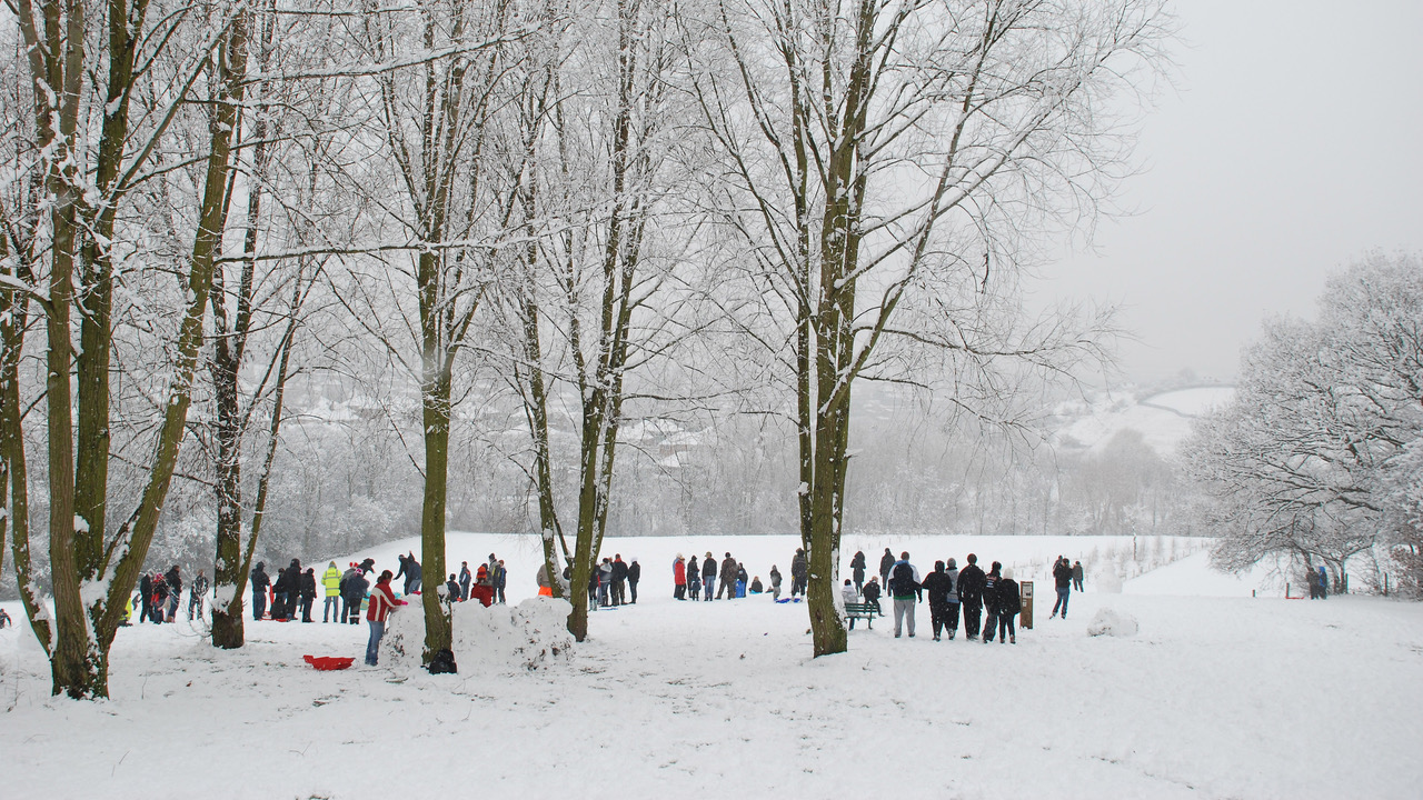 Fwd: Valley Park.jpg			
					</div><!-- .entry-content -->
		
		<footer>
		
		
		
					
					</footer><!-- .entry-meta -->
	</article><!-- #post -->
				
											
				
		
<hr class=